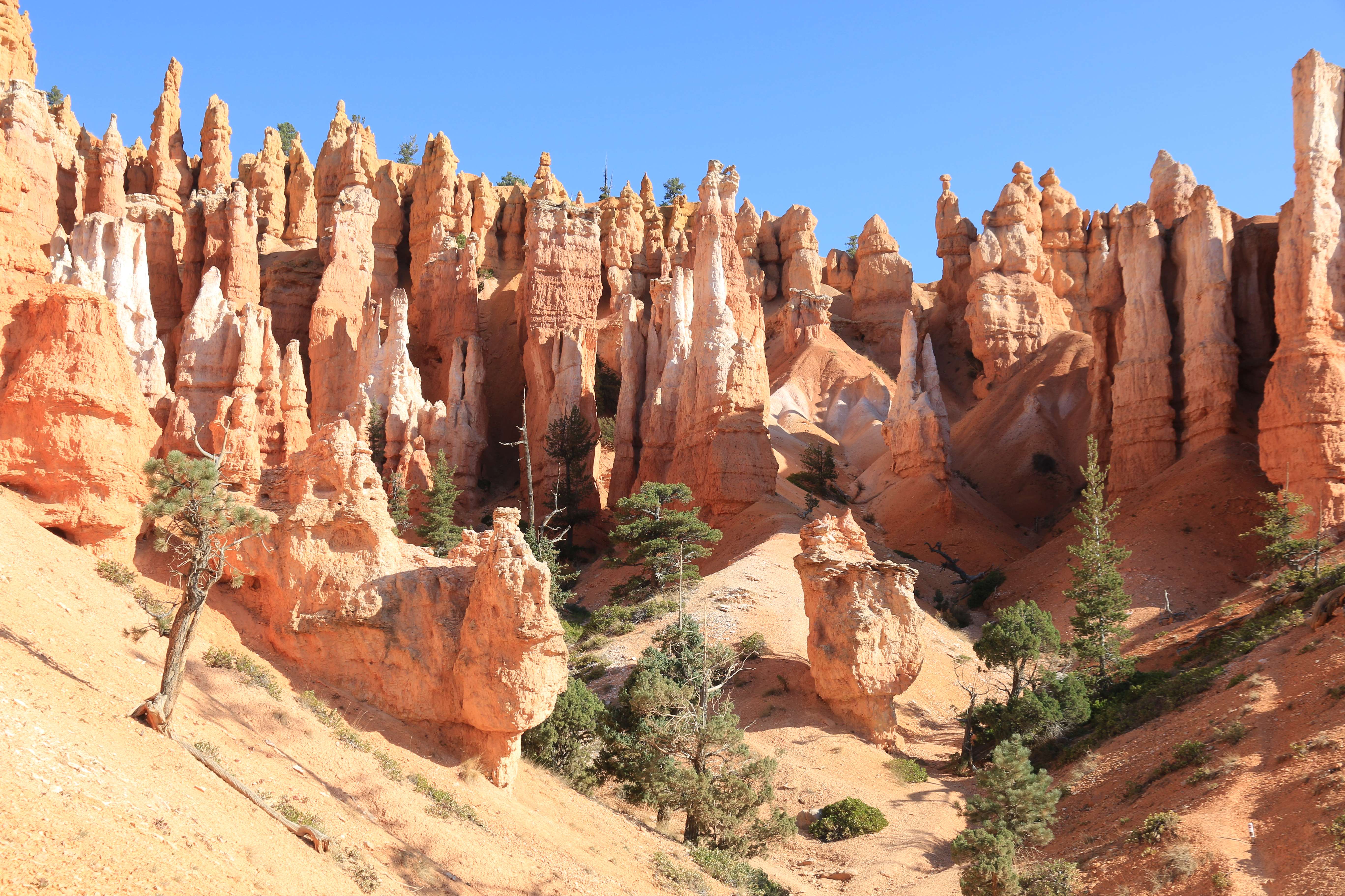 Bryce Canyon NP